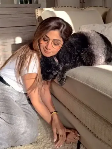 Shilpa Shetty Expresses Affection for Her Beloved Pet Truffle
