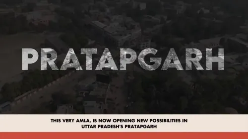 Shivraj flags Pratapgarh Amla boom, 100 processing units