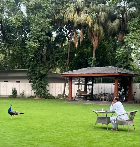 Shivraj Singh Chouhan Shares Peacock Encounter, Nature Reflection