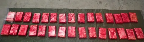 Six NSW men charged over 120 kg cocaine import from US, drug lab found