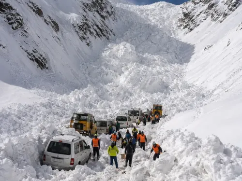 Significant Snow Avalanche Hits Zojila Pass, Traps Vehicles Without Casualties