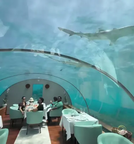 Soha Ali Khan shares underwater dining adventure with Kunal Kemmu & Inaaya in Maldives