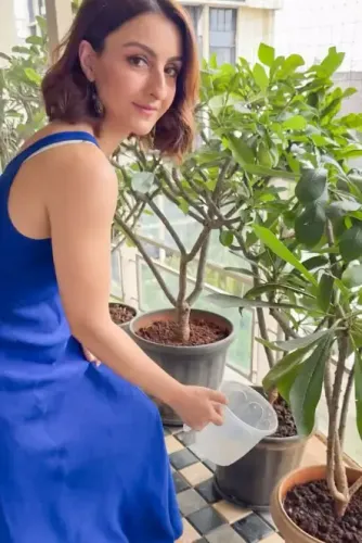 Soha Ali Khan: Is She Starting a New Passion Project with Micro-Greens?