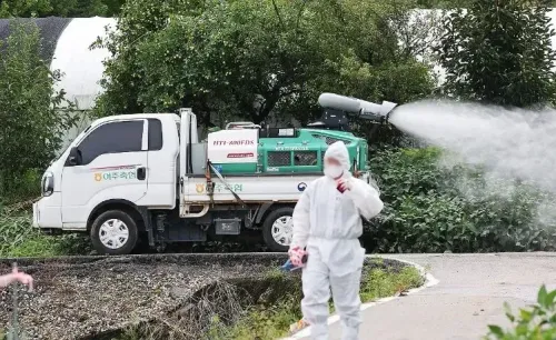 South Korea Reports Another Case of Lumpy Skin Disease, Bringing Yearly Total to 24