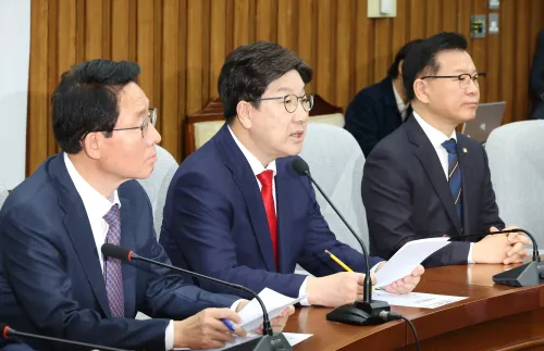 South Korean Acting President Declines to Enter PPP Presidential Primary: Party Leader