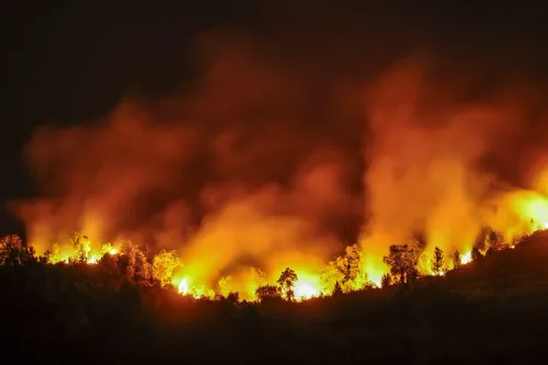 Spain wildfire crisis: National emergency ends in Madrid, Avila as 130,000 hectares burn