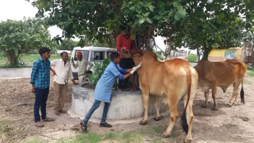 Are States Properly Funded for Vaccination of Bovine Against Livestock Diseases?