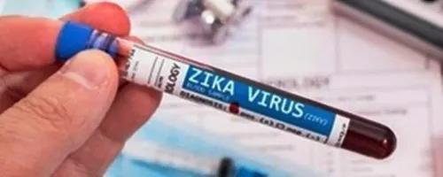 Research Uncovers Mechanism of Zika Virus in Human Placenta and Its Link to Foetal Demise