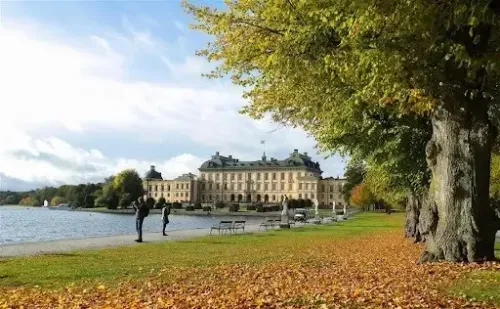 Is Sweden Investigating a Listeria Outbreak Linked to a Stockholm Restaurant?