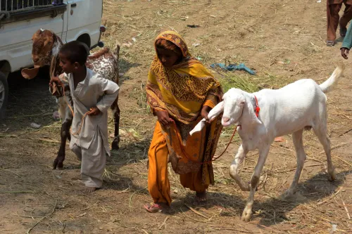 Unmasking Gender-Based Violence: The Role of Patriarchy in Pakistan's Justice System