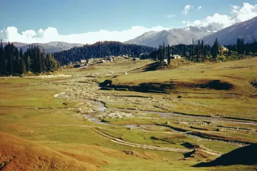 Urgent Action Required for Finalizing Land Records Digitization in J&K: Official