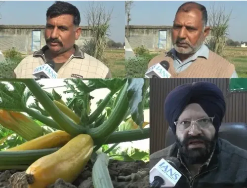 This administration is supporting farmers like a father nurtures his child: Samba farmer on cultivating exotic vegetables