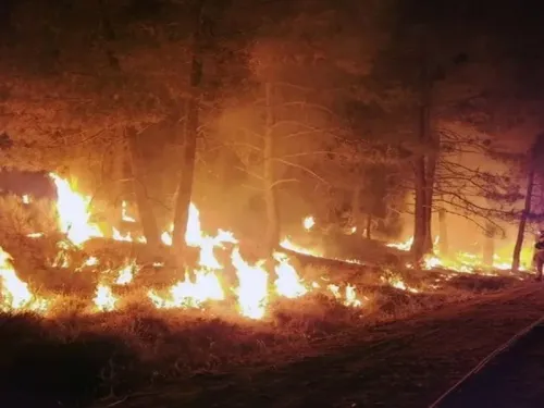 Three US wildland firefighters killed near Colorado-Utah border as fires surge