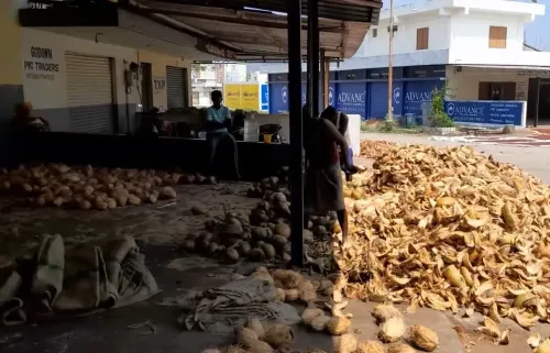 Will Tiptur Copra Achieve GI Tag Recognition to Boost Coconut Farmers' Economy?