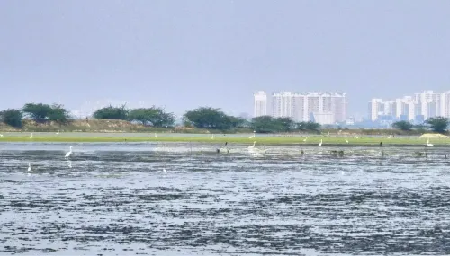 Mamallan reservoir in Chengalpattu built 30% without fisheries NOC