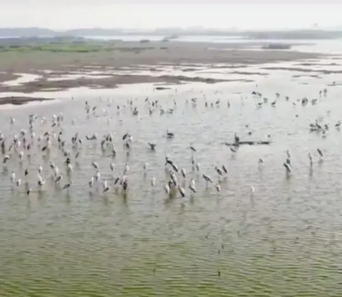 Is Tamil Nadu Proposing the Samanatham Tank as a Ramsar Site for Wetland Conservation?