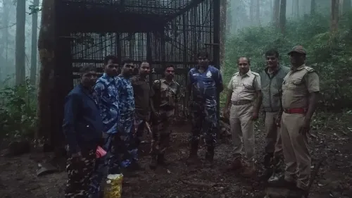 Nilgiris tiger declared man-eater after two fatal attacks near Gudalur