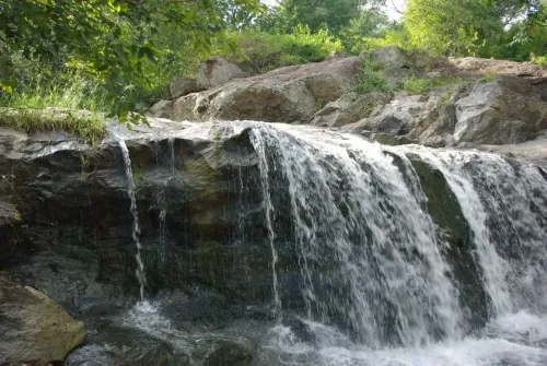 Tamil Nadu's Jawadhu Hills Set for Eco-Tourism Makeover with Glamping and Camping