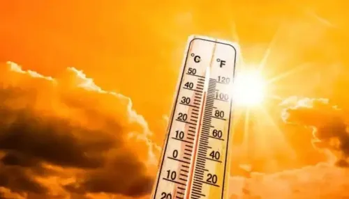 Tamil Nadu Braces for Rising Temperatures, IMD Releases Heat Warning