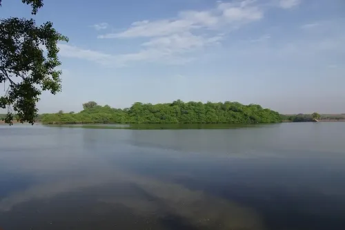 Tamil Nadu to Implement Drone Mapping for Ramsar Site Conservation