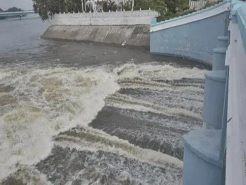Is the TN Water Resources Department Ready to Clear Vegetation from the Cauvery River?