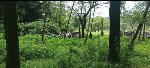 What Was Discovered at the 1st Burial Site in Dharmasthala?