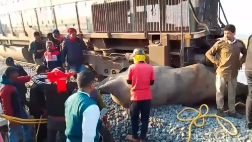 How did the Rajdhani Express derail in Assam, killing seven elephants?