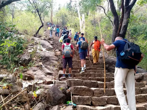 When Does the Trekking Season at TN's Velliangiri Hills Start?