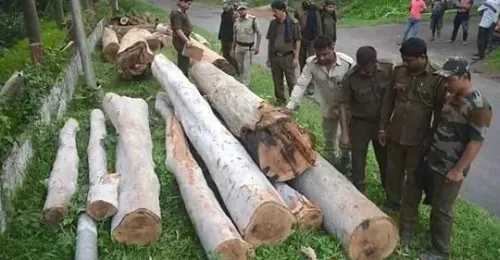 How is Tripura's Forest Dept addressing deforestation?