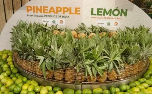 Tripura organic exports to Dubai: Queen pineapples, Kalikhasa rice win Gulf buyers