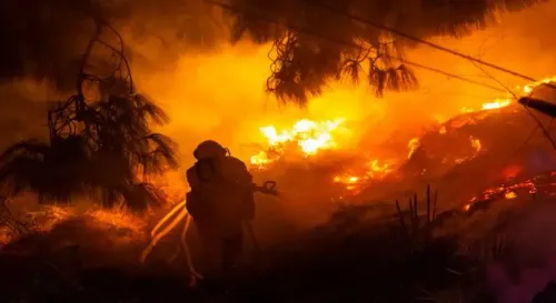 What Happened in Cyprus' Limassol Region Amid the Wildfire?