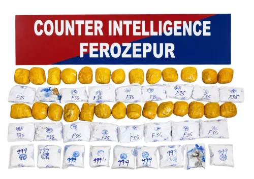 Punjab Police seize 30 kg heroin, bust cross-border drug module in Fazilka