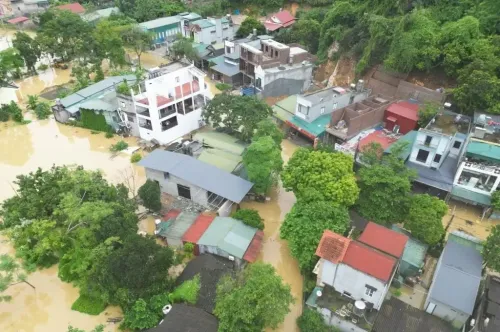 How Many Lives Did Typhoon Bualoi Claim in Vietnam?