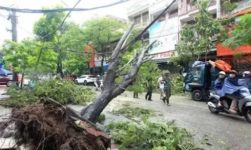 What Impact Did Typhoon Kalmaegi Have on Central Vietnam?