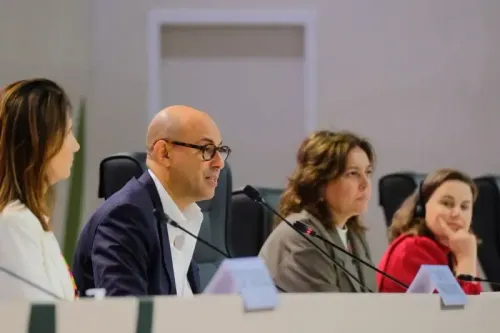 What Progress Did the UN Climate Chief Highlight at COP30?