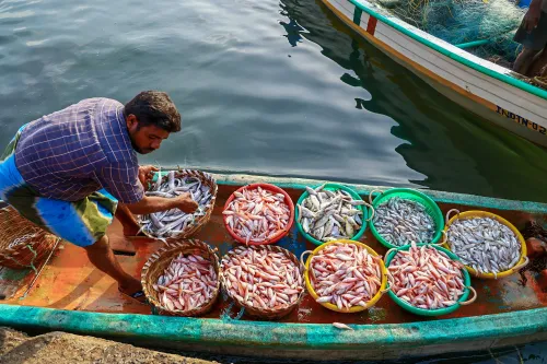 Should Fisheries Workers Register Under NFDP?