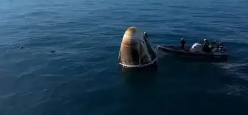 Unexpected Reunion: Dolphins Welcome Astronauts Home After Extended Space Voyage
