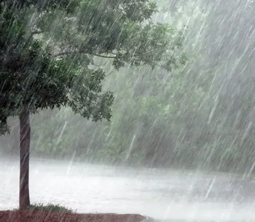 Unexpected Rainfall Causes Agricultural Damage in Telangana