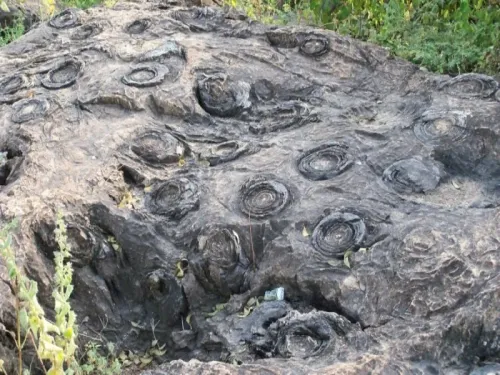 Did UP’s Salkhan Fossils Park Just Make It to UNESCO's Tentative World Heritage List?