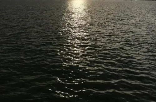 Has Veeranam Lake Reached Full Capacity, Enhancing Chennai's Water Supply?