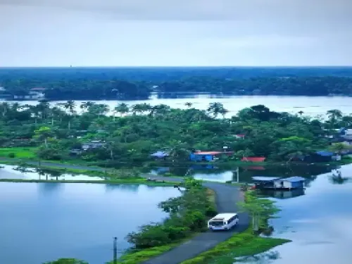 वेलियानाडु गांव: केरल का छुपा खजाना, जहां शांति और प्रकृति का अद्भुत संगम