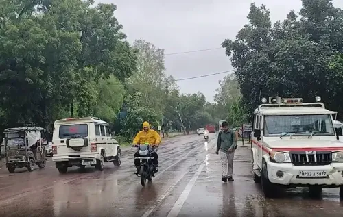 Very heavy rain alert in 13 Madhya Pradesh districts as depression persists