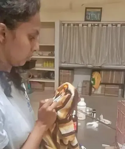 Veterinarian Fatally Injured by Hippopotamus at Zoo; Karnataka Government Launches Investigation