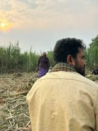 Has the shooting for Vijay Antony's 'Nooru Saami' wrapped up?