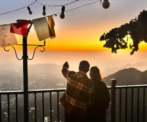 Did Vikrant Massey Just Declare His Love for Wife Sheetal on Her Birthday?