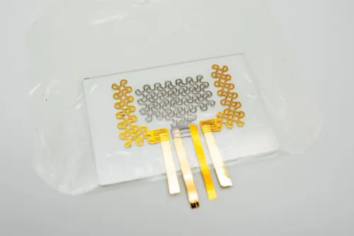 Revolutionary Shift in Cardiac Care: Study on Wearable Heart Sound Devices