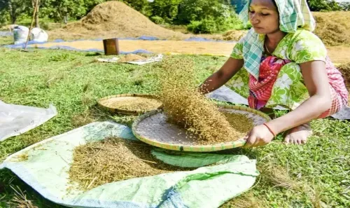 How Can Farmers in MP Register for Wheat Procurement at MSP Starting February 7?