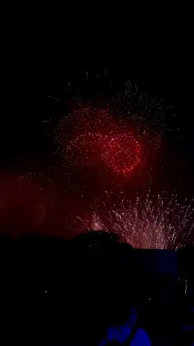 White House Celebrates July 4 With Fireworks Tribute