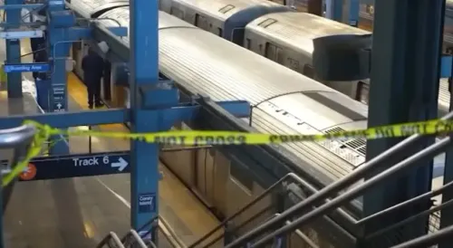 Police Identify Woman Who Suffered Fatal Burns on NYC Subway