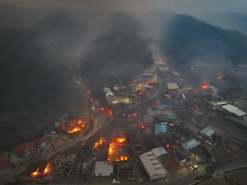 Elderly Woman Found Dead in Cheongsong Due to Wildfires in South Korea